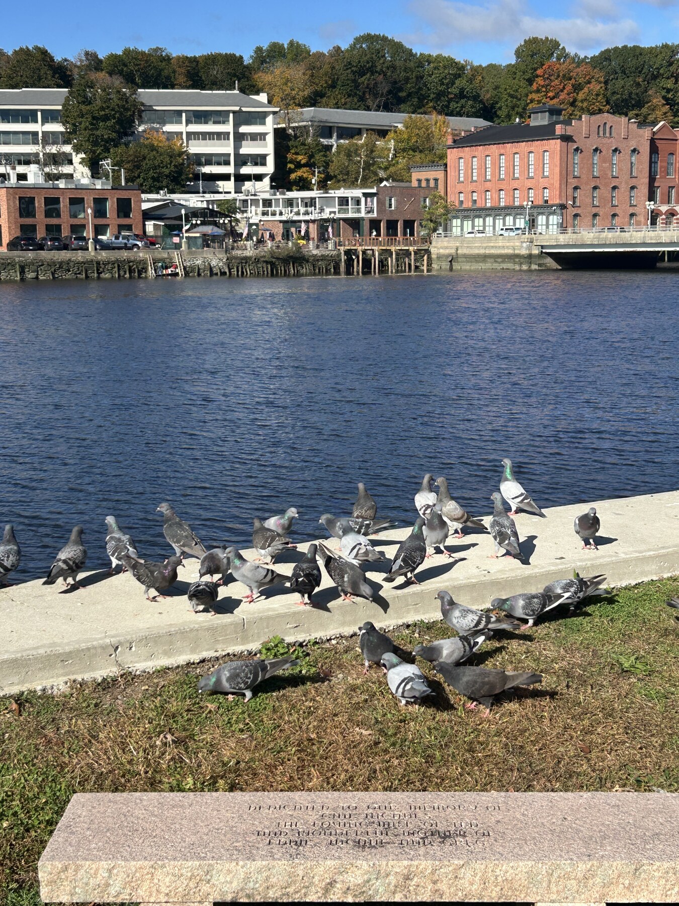 Westport, October 15, 2026