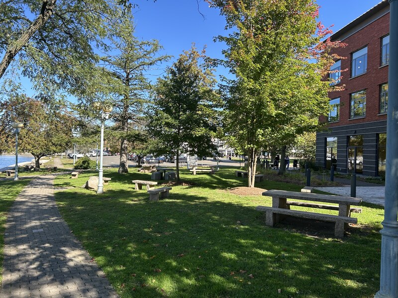 Waterfront park by the library