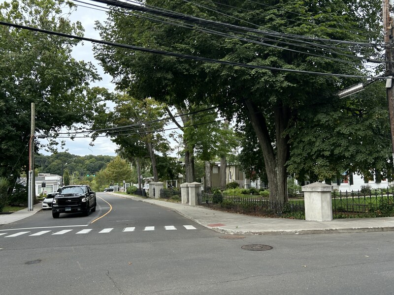 Tree-lined street in Westport